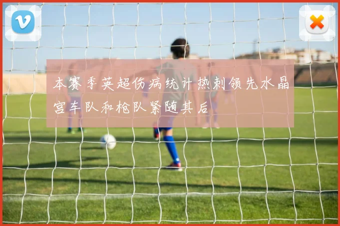 本赛季英超伤病统计热刺领先水晶宫车队和枪队紧随其后