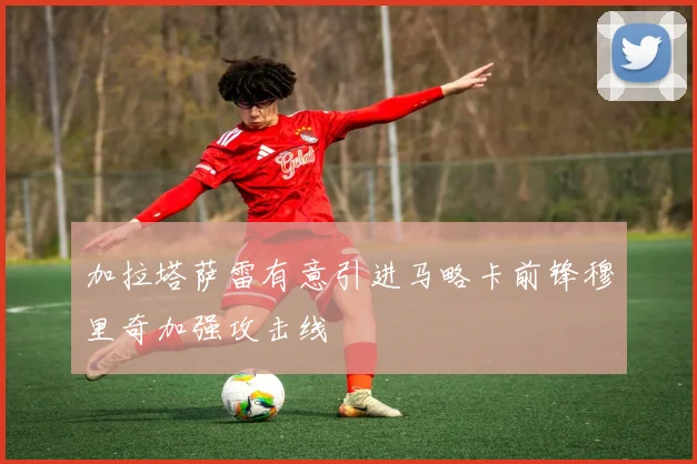 加拉塔萨雷有意引进马略卡前锋穆里奇加强攻击线