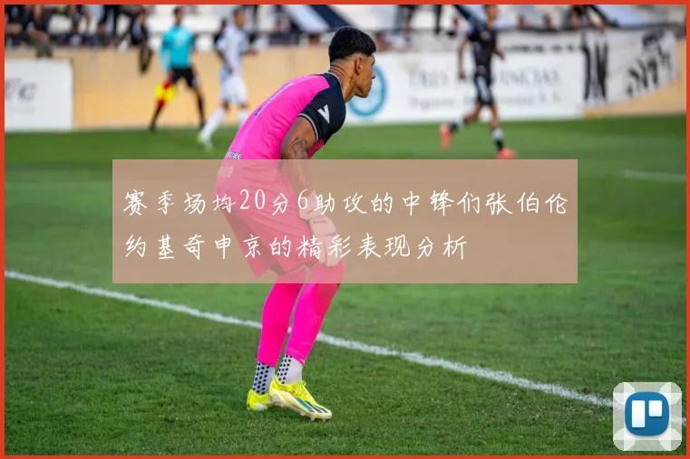 赛季场均20分6助攻的中锋们张伯伦约基奇申京的精彩表现分析